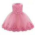 Baby Mädchen 1. Geburtstag Partykleid Blumenmädchen Hochzeit Brautjungfer Festliches Festkleid Prinzessin Tütü Tüll Spitzenkleid Abendkleid Taufkleid Ärmellos Cocktailkleid Dunkelrosa 6-12 Monate