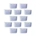 Lot de 12 filtres à eau à charbon actif non tissé de rechange pour cafetière Cuisin-Art (blanc)