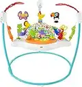 Fisher-Price Baby Bouncer Animal Activity Jumperoo With Music Lights Sounds And Developmental Toys For Infants