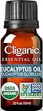 Cliganic USDA Organic Eucalyptus Essential Oil, 100% Pure | Natural Aromatherapy Oil for Diffuser Steam Distilled | Non-GMO Verified