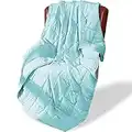Alomidds Weighted Blanket (60"x80",15lbs Queen Size - Teal),Weighted Blankets for Adults and Kids,Cooling Breathable Soft and Comfort,Heavy Blanket Microfiber Material with Glass Beads