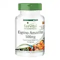 Fairvital | Espino amarillo 500mg - Fuente de Omega 7 - Vegano - Dosis elevada - 90 Cápsulas - Calidad Alemana