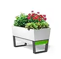 Glowpear Self-Watering Urban Garden Planter - 29.5" in Raised Pot, UV Stable, Scalable, Indoor | Outdoor, Water Gauge for Home Deck Kitchen Gardening