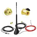 Eightwood Antenne Voiture Dab Antenne FM Radio Numérique FM/AM Combo SMB/SMA Mâle à DIN Mâle Adaptateur Autoradio Antenne Splitter Véhicule Montage Toit Amplificateur de Signal 500cm 16.4ft 23cm Rod