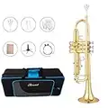 Aisiweier Bb Standard Trumpet Set for Beginner, Brass Student Trumpet Instrument with Hard Case, Cleaning Kit, 7C Mouthpiece and Gloves, ATR-2360, Golden (golden)