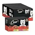 Cesar Nourriture Humide pour Chien, Sélection de Classiques en Paté, Multipack (Pack de 3 x 8 Pots x 150g)