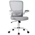 Home Office Chair Ergonomic Desk Chair Mesh Computer Chair with Support Armrest Ergonomic Chair Executive Rolling Swivel Chair Adjustable for Women&Men (Gray)