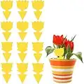 Fruit Fly Traps,Sticky Fly Traps for Indoor/Outdoor Use,12Pcs Dual-Sided Yellow Fungus Gnat Mosquito Trap for Indoor Plants,Waterproof,Non-Toxic and Odorless