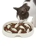 PETTOM Slow Feeder Cat Bowl Anti Vomiting, 2023 Upgrade- Raised Rim Spill Proof Slow Food Cat Bowl for Wet Food/Dry Food, Cat Puzzle Feeder, Anti-Gulping Healthy Eating Diet Pet bowls (Oval)