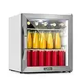 KLARSTEIN Mini Frigo da Camera per Birra, Frigo Portatile da Camera, Frigo Piccolo da Ufficio, Mini Frigo da Ufficio con Porta in Vetro, Mini Frigo Bar da Camera con Ripiani Rimovibili, 3-10°C, 47L