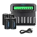 CITYORK LCD Universal Battery Charger, For Batteries 8 AA/AAA or 4 C/D, Independent Charging Channel by Fast Charger - with 4 * D Cell 10000mAh Batteries