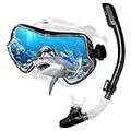 Dry Snorkel Set Adults Professional,Anti-fog Diving Mask 180° Panoramic Ultra-Clear Snorkel Mask Anti-leak Diving Tube Set Free Breath Scuba Diving Goggle Adjustable for Men Women