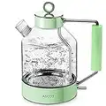 Electric Kettle, ASCOT Glass Electric Tea Kettle 1.6L 2200W Tea Heater & Hot Water Boiler, Borosilicate Glass, BPA-Free, Auto Shut-Off and Boil-Dry Protection (Green)