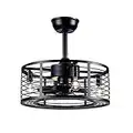 Dannilong Modern Enclosed Ceiling Fan Indoor with Remote Control, Black Caged Industrial Ceiling Fan Light Kit for Living Room, Bedroom, Kitchen (Stripped)