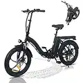 SHIZHUNIAO 20'' Bicicleta Electrica Plegable, Bicicleta de Montaña con Fat Tire, Batería Extraíble de 48V 10Ah, Welocidad Máxima 25 km/h Bici Electrica, Alcance hasta 35-90 km, Ebike Hombres Mujeres