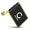 CELLONIC® Batteria 616-0621 616-0619 LIS1495APPCC compatibile con Apple iPod Touch 5 Gen. A1421, iPod Touch 5 Gen. A1509 Ricambio da 1000mAh per lettore MP3 MP4 Music Player