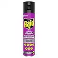 Raid aérosol multi-insectes, 400 ml