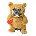 Pandaloon Dog and Pet Costume Set - AS SEEN ON Shark Tank - Walking Teddy Bear with Arms (Teddy, Size 4(20-23 in Height at TOP of Head,Girth<27 in))