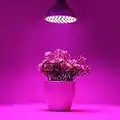 Frcolor E27 6 W 72 LEDs Lampe Plante Croissance Ampoule croissance Intérieur Jardin Lumière Led Lampe Pour Plantes d'intérieur Hydroponique