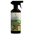 EcoWidow Natural Slug and Snail Repellent Killer Spray - 500ML Fast Acting Alternative to Copper Tape Slug killer pellets