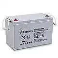 Renogy Deep Cycle AGM Battery 12 Volt 100Ah, 3% Self-Discharge Rate, 2000A Max Discharge Current, Safe Charge, Appliances for RV, Camping, Cabin, Marine and Off-Grid System, Maintenance-Free, Gray