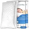 WonderSleep Premium Adjustable Loft [King Size 2-Pack] - Shredded Memory Foam Pillow for Home & Hotel Collection + Washable Removable Cooling Bamboo Derived Rayon Cover - 2 Pack King