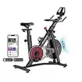 YESOUL S3 Exercise Bike Stationary Bike Spin Bike - Magnetic Resistance exercise bikes for Home Indoor Workout(Black)