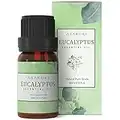 ASAKUKI Eucalyptus Essential Oil 10ml, 100% Pure Natural Essential Oils, Therapeutic-Grade Aromatherapy Essential Oil, Scented Oils for Diffuser, Humidifier, Relax, Sleep, Perfect Gifts