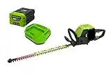 Greenworks Tagliasiepi a Batteria G60HT61, Li-Ion 60 V, Lunghezza Lama 61 cm, Spazio tra i denti di 27 mm, 3400 tagli/min, Impugnatura rotante a 180 gradi, Batteria 2Ah e Caricabatterie