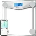 Etekcity Digital Body Weight Bathroom Scale, Large Blue LCD Backlight Display, High Precision Measurements, 8mm Tempered Glass, 440 Pounds