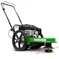 TAZZ 40095 Walk-Behind String Mower/Trimmer, 160cc 4-Cycle Gas Engine, Large 14" Wheels, One-Piece Steel Deck, 22” Cutting Swath, Never Kill Engine, Fold Down Handlebars