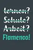 lernen? Schule? Arbeit? Flamenco!: Notizbuch - tolles Geschenk für Notizen, Scribbeln und Erinnerungen aufbewahren | liniert mit 100 Seiten