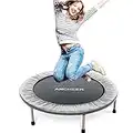 Mini-Fitness-Trampolin für Erwachsene und Kinder, maximale Traglast 100 kg, Rebounder-Trampolin für Indoor-Garten-Workout, Cardio-Training (grau, 101,6 cm – einmal zusammenklappbar)