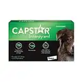 Capstar Oral Flea Treatment for Large Dogs Weighing 11 to 57 kg - 6 Pack