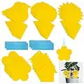 Yellow Dual-Sided Fruit Fly Killer Paper Stickers for Indoor/Outdoor Insect Control (50 Pack)