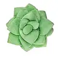 Green Philosophy Co. Plush Leaf Pillow - 3D Accent Succulent Leaf Throw Pillow for Couch Sofa Living Room Home Decor for Plant Lovers, Garden Lovers, Green Thumb Family & Friends