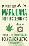 La culture de la marijuana pour les débutants: Guide de la culture du cannabis - De la graine à l'herbe