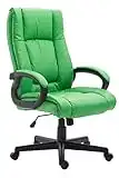 Silla de Oficina XL Sparta en Cuero PU I Silla Ejecutiva Giratoria I Silla de Escritorio Regulable en Altura I Silla Ergonómica I Color:, Color:Verde Claro