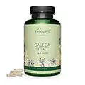 Galega Officinalis Vegavero® | La Dosis Más Alta: 5.500 mg (10:1) | Vegano & Sin Aditivos | 2% Flavonas | 120 Cápsulas | Alternativa Fenogreco