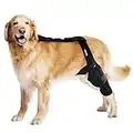 MerryMilo Dog Knee Brace Pet Supplies For Support With Cruciate Ligament Injury, Joint Pain And Muscle Sore, Better Recovery With Dog ACL Knee Brace, Adjustable Rear Leg Braces For Dogs, Pet Knee Brace (M)