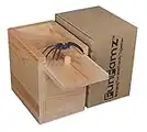 FunFamz The Original Spider Prank Box- Funny Wooden Box Toy Prank, Hilarious Christmas Money Gift Box Surprise Toy and Gag Gift Practical Joke Bromas Kit