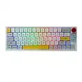 EPOMAKER TH66 Pro 65% Hot Swap RGB NKRO 2,4 Ghz/Bluetooth 5.0/Tastiera meccanica da gioco cablata con tasti MDA PBT, controllo manopola per Mac/Win (White Case, Gateron Pro Black)