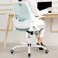 Office Chair, KERDOM Ergonomic Desk Chair, Breathable Mesh Computer Chair, Comfy Swivel Task Chair with Flip-up Armrests and Adjustable Height(Mint Green)