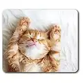 Cute Sleeping Ginger Cat Kitten Mouse Mat Pad Computer PC Laptop Gaming Office Home Desk Accessory Gadget 13113