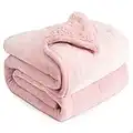 Queen Size 15lbs, Cottonblue Weighted Blanket for Adults, Fuzzy Soft Sherpa Flannel Throw, Cozy Plush Blanket for Sofa Bed, 60 x 80 inches, Blush Pink