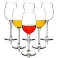 MICHLEY Unbreakable Red Wine Glasses, 100% Tritan Plastic Shatterproof Wine Goblets, BPA-Free, Dishwasher-Safe 12.5 oz, Set of 6