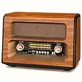 PRUNUS J-199 Retro Vintage Radio Bluetooth, Crystal Clear Speaker AM FM SW, Support AUX/TF Card/USB Playing, AC Charging, Rechargeable Battery and Battery Operated Radio, MIC Recording