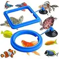 Molain Anneau d'alimentation pour Poissons, 2 pièces pour Aquarium Poisson Tortue réservoir Accessoires Cercle d'alimentation pour Guppy bettas Poisson Rouge Tortue (Bleu)