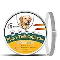 Collare Antipulci per Cani, Collare Antipulci Naturale per la Sicurezza dei Cani - Collare Anti Zecche regolabile, Collare Antipulci per Cani Waterproof - 8 Mesi di Protezione, Taglia Unica per Tutti