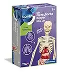 Clementoni Galileo Lab – Der menschliche Körper Mini-Set, Experimentierkasten für Kinder ab 8 Jahren, Spielzeug zum Verstehen von Anatomie, Organen & Skelett von Clementoni 69489